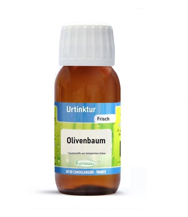 Olivenbaum-Urtinktur